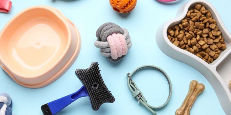 Accessoires animaux de compagnie : lesquels choisir pour améliorer son confort au quotidien ?
