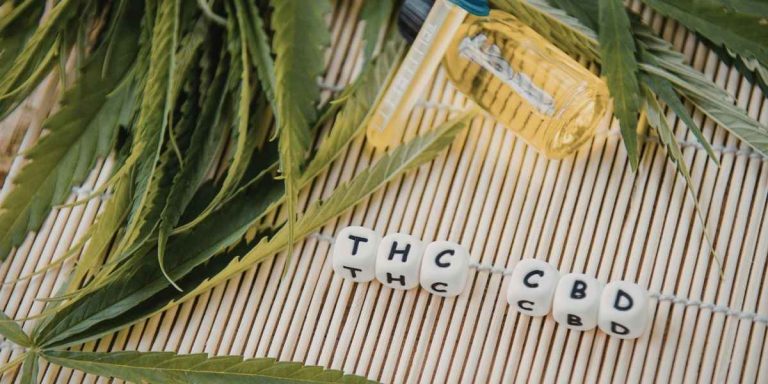 Différence entre CBD et THC : que faut-il savoir pour ne plus les confondre ?