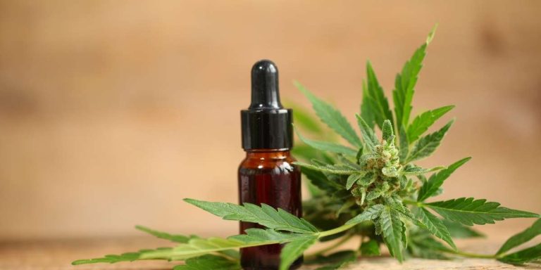 Huile CBD : quels sont les véritables bienfaits pour votre équilibre et bien-être ?