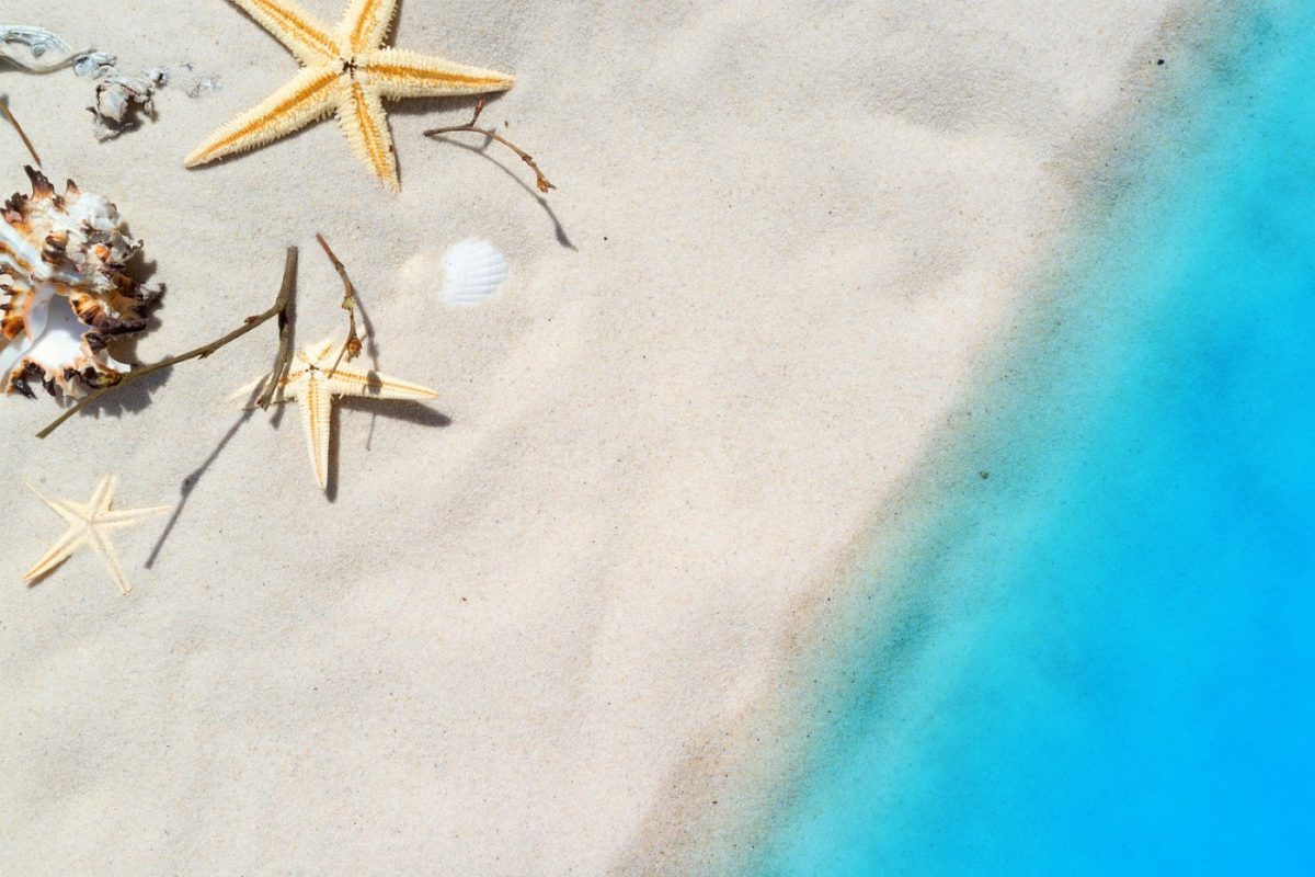Que ramasser sur la plage pour la consommation personnelle