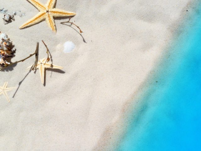 Que ramasser sur la plage pour la consommation personnelle